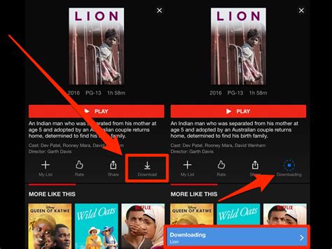 How to Download Movies and Shows From Netflix for Offline .